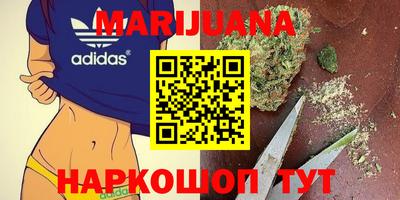 альфа пвп Заводоуковск