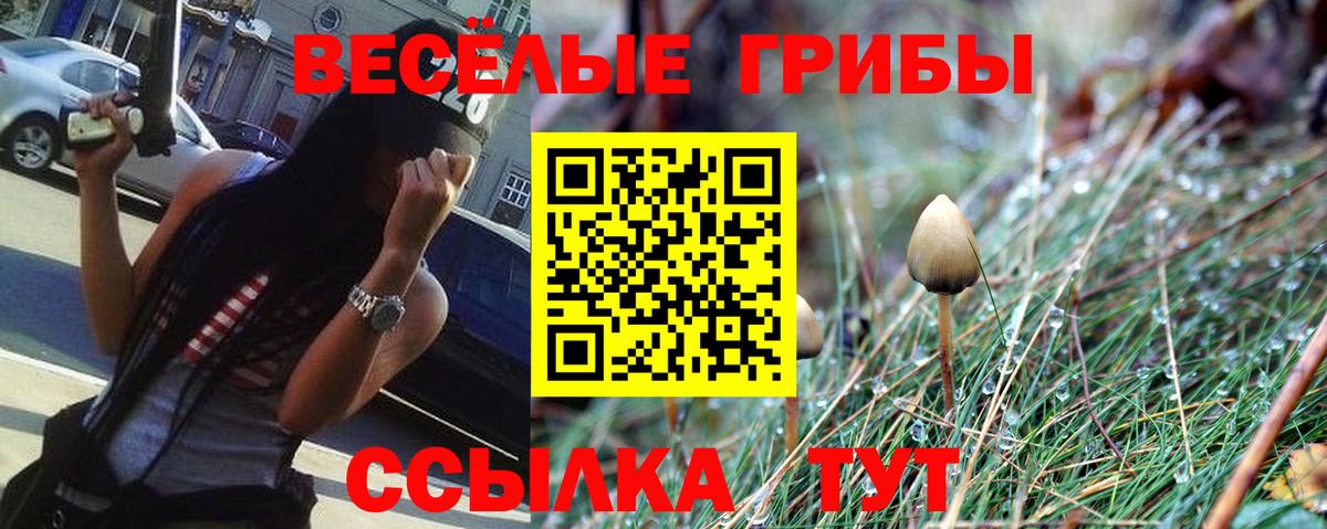 Галлюциногенные грибы ЛСД Вологда