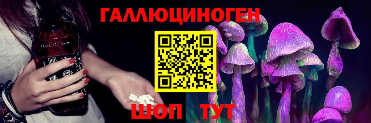 Вологда  Псилоцибиновые грибы прущие грибы  Псилоцибиновые грибы Cubensis  Вход с VPN 